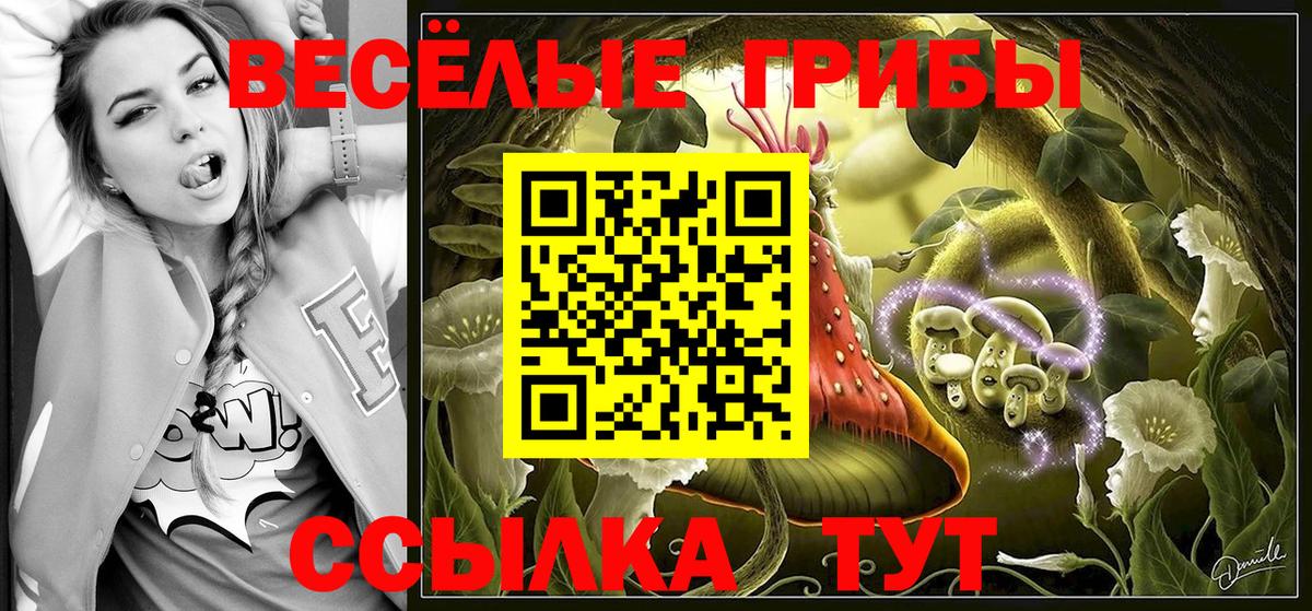 Псилоцибиновые грибы MAGIC MUSHROOMS  Псилоцибиновые грибы MAGIC MUSHROOMS  Бердск  Вход с VPN 