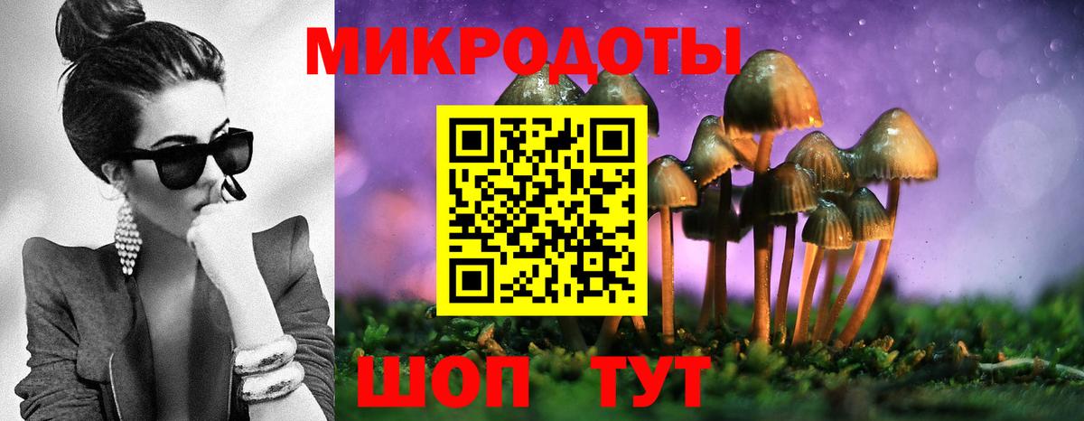 Псилоцибиновые грибы мицелий Бердск
